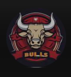 The Mighty Bulls team logo